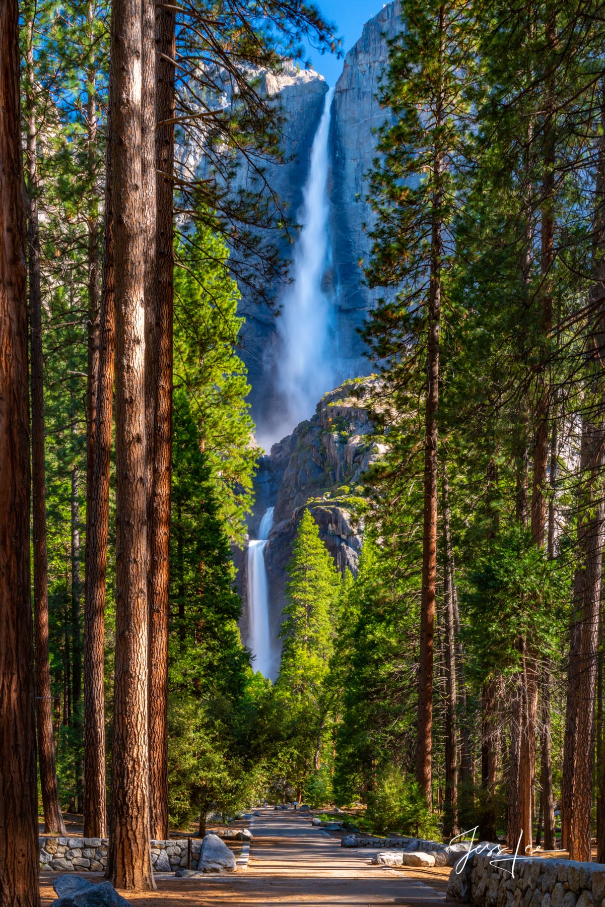 Yosemite National Park